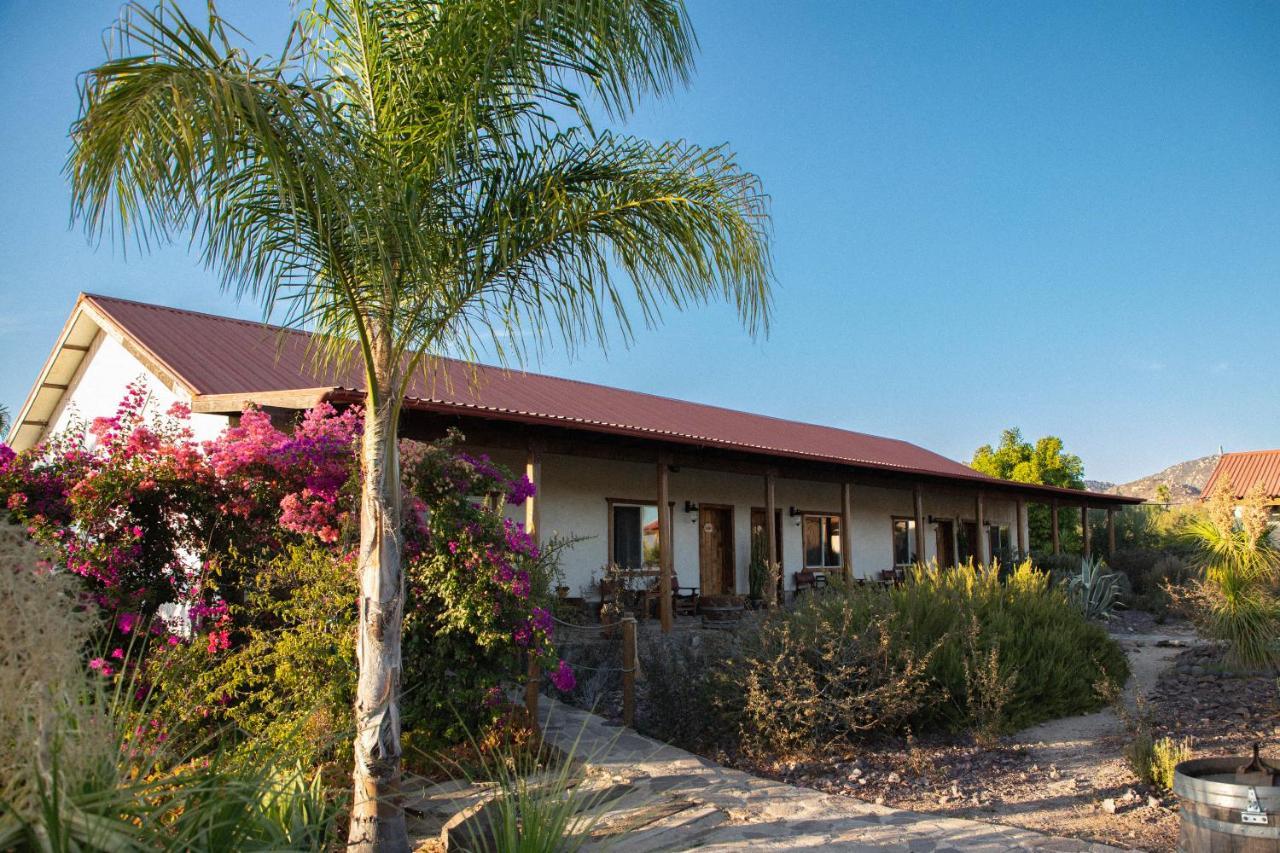 Terra Del Valle Bed & Breakfast Valle de Guadalupe Bagian luar foto