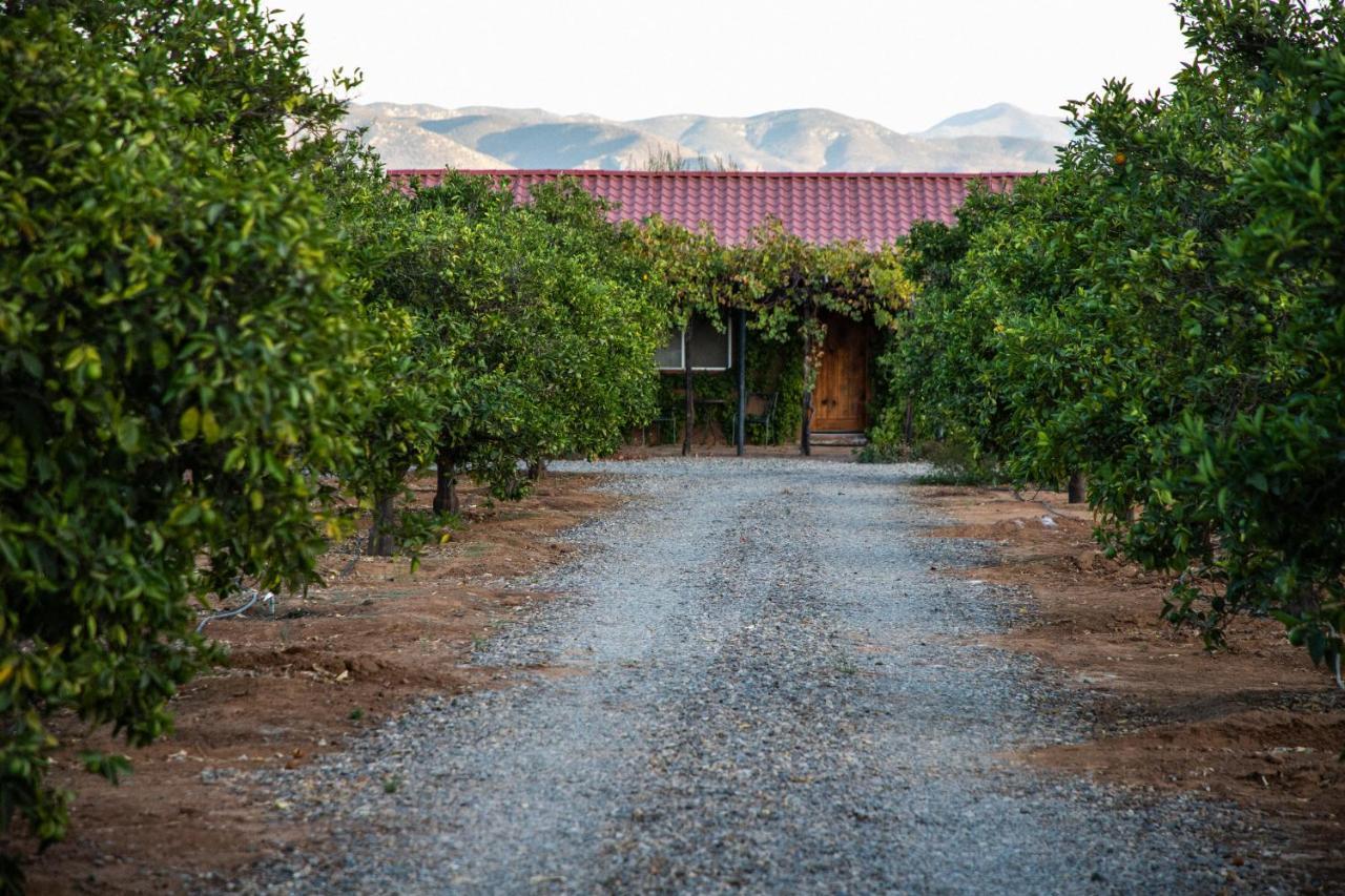 Terra Del Valle Bed & Breakfast Valle de Guadalupe Bagian luar foto