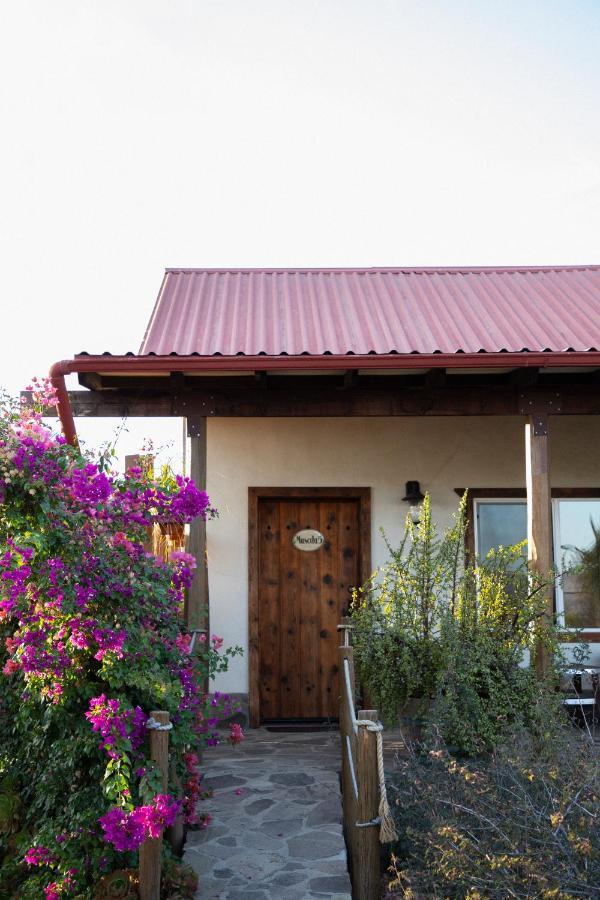 Terra Del Valle Bed & Breakfast Valle de Guadalupe Bagian luar foto