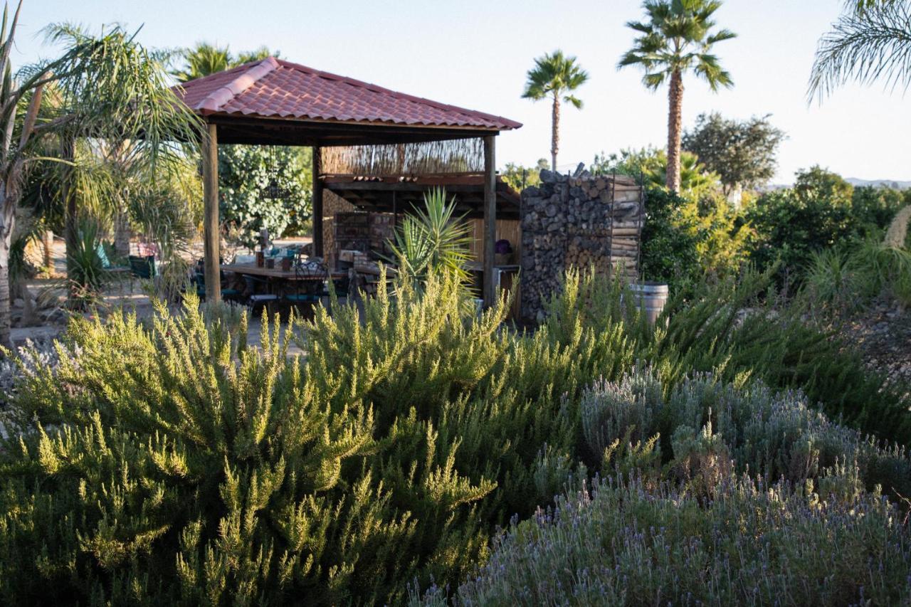 Terra Del Valle Bed & Breakfast Valle de Guadalupe Bagian luar foto